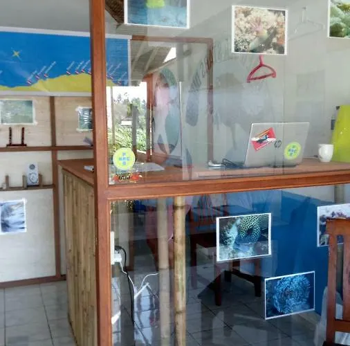 Kayun And Dive Center Hostel Amed (Bali)