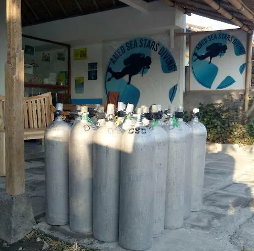 Kayun And Dive Center Amed (Bali)